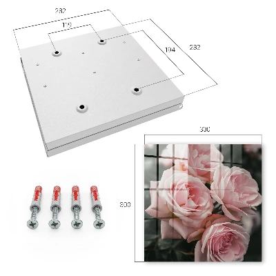 Sleutelkastje hal Roze rozen