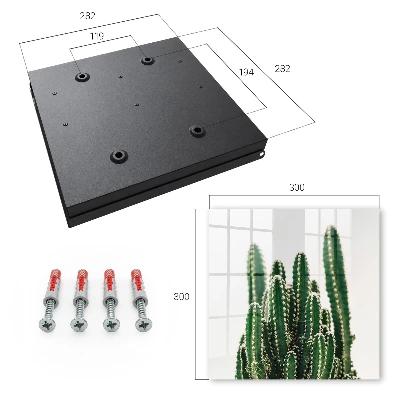Sleutelkastje binnen Groene cactussen