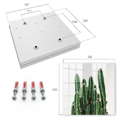 Sleutelkastje binnen Groene cactussen