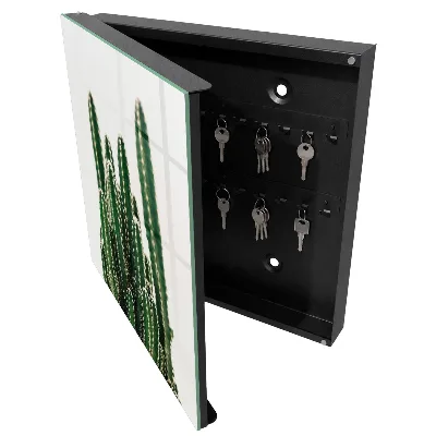 Sleutelkastje binnen Groene cactussen