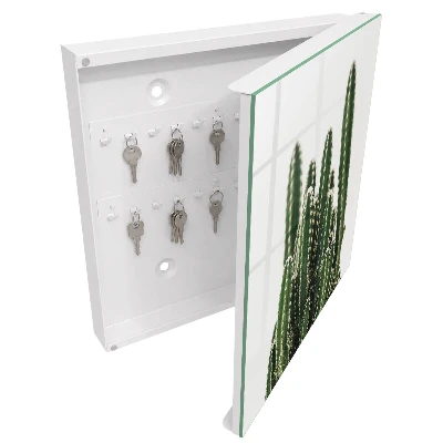 Sleutelkastje binnen Groene cactussen