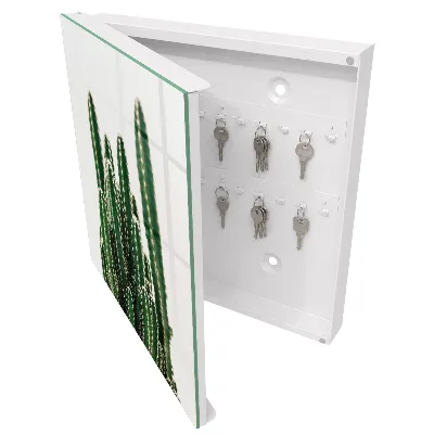 Sleutelkastje binnen Groene cactussen
