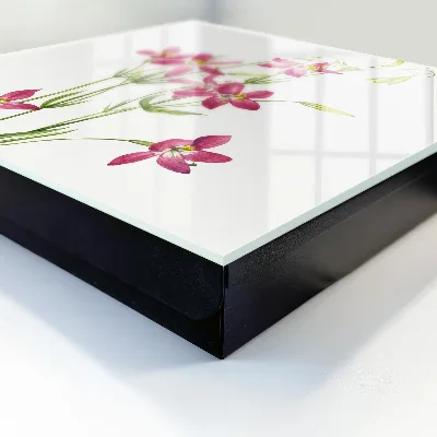 Sleutelkastje hal Roze bloemen
