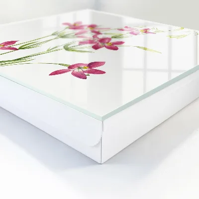 Sleutelkastje hal Roze bloemen