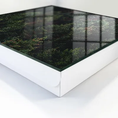 Sleutelkast Groen bos