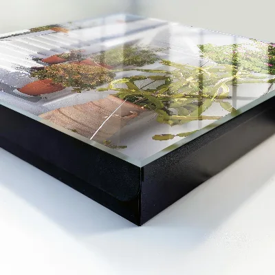 Sleutelkastje hal Trappen met planten