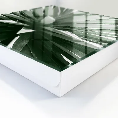 Sleutelkastje hal Agave