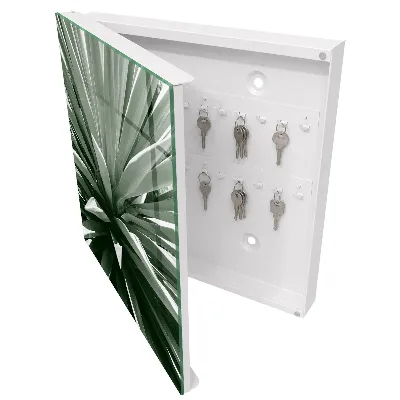 Sleutelkastje hal Agave