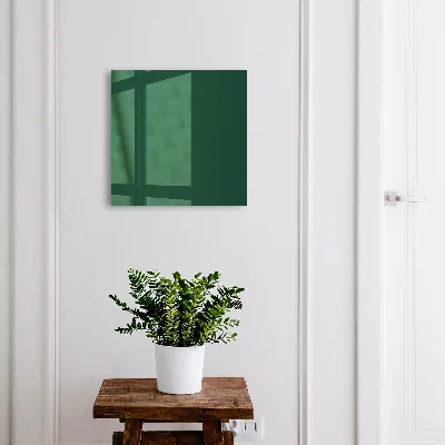 Sleutelkastje hal Flesgroen