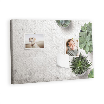 Kurk prikbord Decoratieve planten