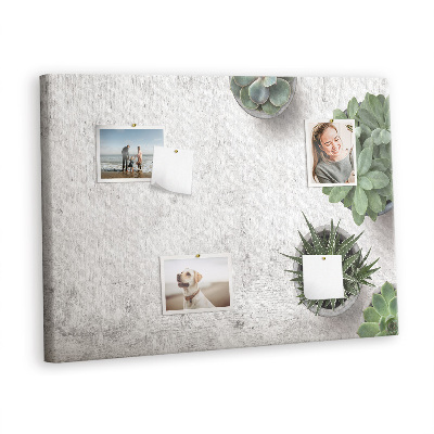 Kurk prikbord Decoratieve planten