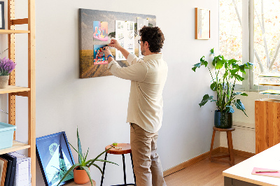 Prikbord Landschap van afrika