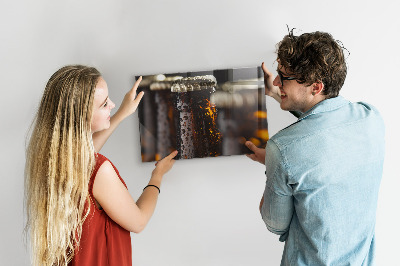 Magneet bord Glazen flessen