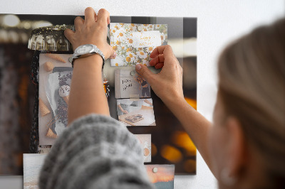 Magneet bord Glazen flessen