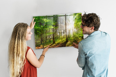 Memobord keuken Bos zonsopgang