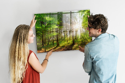 Memobord keuken Bos zonsopgang