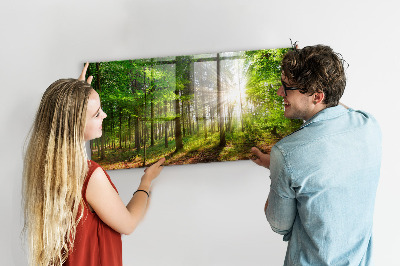 Memobord keuken Bos zonsopgang