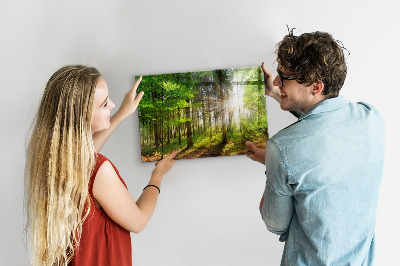 Memobord keuken Bos zonsopgang