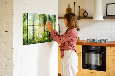 Memobord keuken Natuur bosbomen