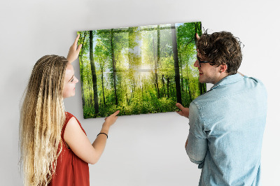 Memobord keuken Natuur bosbomen