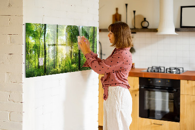 Memobord keuken Natuur bosbomen