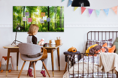 Memobord keuken Natuur bosbomen