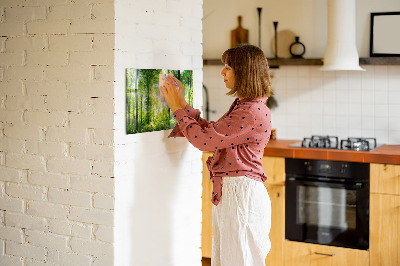 Memobord keuken Natuur bosbomen