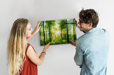 Memobord keuken Natuur bosbomen