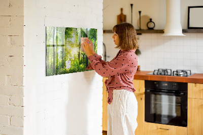 Memobord keuken Natuur bosbomen