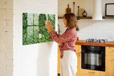 Memobord keuken Bos vanuit vogelperspectief