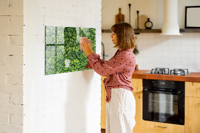 Memobord keuken Bos vanuit vogelperspectief