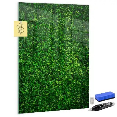 Decoratief glazen wandbord beschrijfbaar en magnetisch met motief van een haag van bladeren