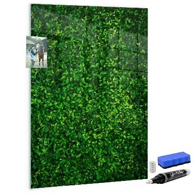 Decoratief glazen wandbord beschrijfbaar en magnetisch met motief van een haag van bladeren