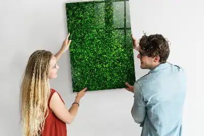 Decoratief glazen wandbord beschrijfbaar en magnetisch met motief van een haag van bladeren