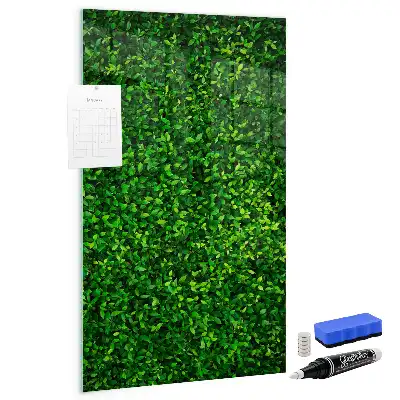 Decoratief glazen wandbord beschrijfbaar en magnetisch met motief van een haag van bladeren
