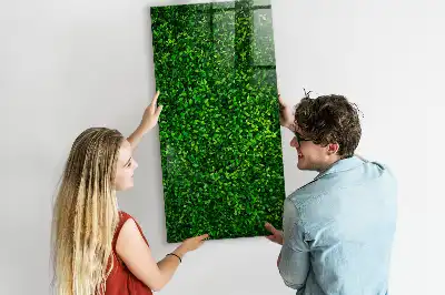 Decoratief glazen wandbord beschrijfbaar en magnetisch met motief van een haag van bladeren