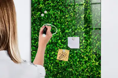 Decoratief glazen wandbord beschrijfbaar en magnetisch met motief van een haag van bladeren