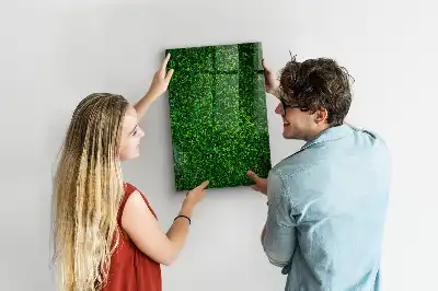 Decoratief glazen wandbord beschrijfbaar en magnetisch met motief van een haag van bladeren