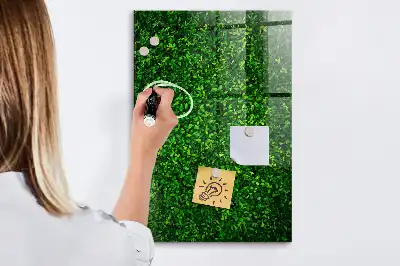 Decoratief glazen wandbord beschrijfbaar en magnetisch met motief van een haag van bladeren