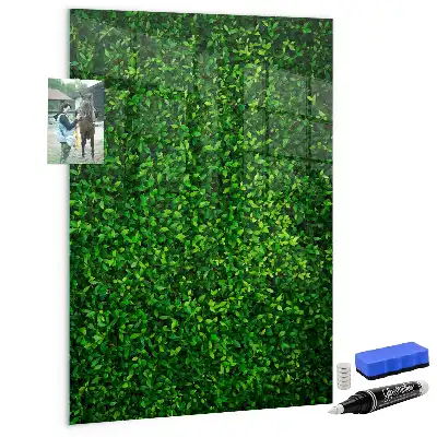 Decoratief glazen wandbord beschrijfbaar en magnetisch met motief van een haag van bladeren