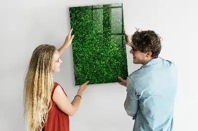 Decoratief glazen wandbord beschrijfbaar en magnetisch met motief van een haag van bladeren