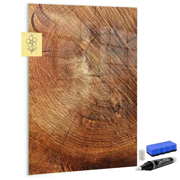 Magnetisch en beschrijfbaar glazen wandbord met print van een boomstam dwarsdoorsnede