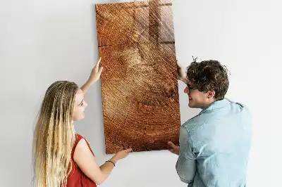 Magnetisch en beschrijfbaar glazen wandbord met print van een boomstam dwarsdoorsnede
