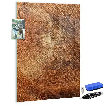 Magnetisch en beschrijfbaar glazen wandbord met print van een boomstam dwarsdoorsnede
