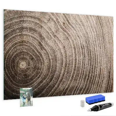 Magnetisch planbord voor de muur van bedrukt glas uitvoering boomstam