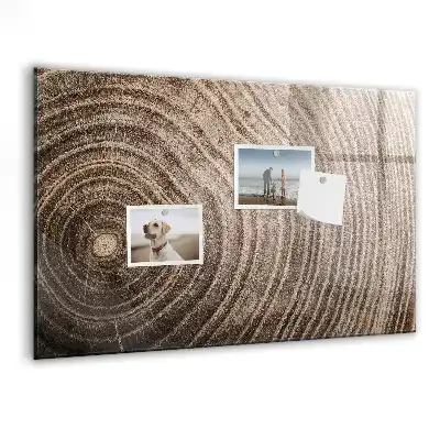 Magnetisch planbord voor de muur van bedrukt glas uitvoering boomstam
