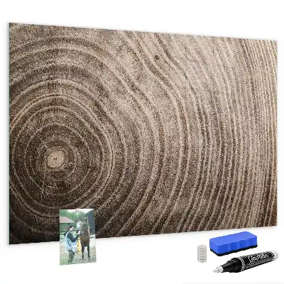 Magnetisch planbord voor de muur van bedrukt glas uitvoering boomstam