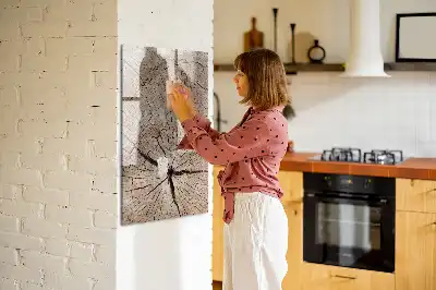 Magnetisch glazen memobord voor aan de muur met motief van een boomstam dwarsdoorsnede