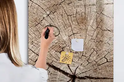 Magnetisch glazen memobord voor aan de muur met motief van een boomstam dwarsdoorsnede