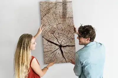 Magnetisch glazen memobord voor aan de muur met motief van een boomstam dwarsdoorsnede